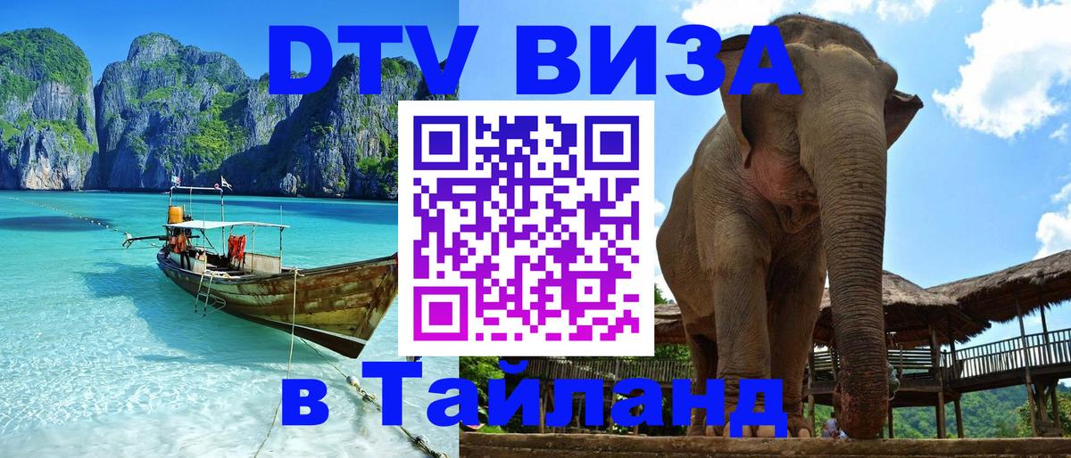 Оформление DTV визы под ключ: стоимость и тарифы, только загранпаспорт - 18.11.2025 